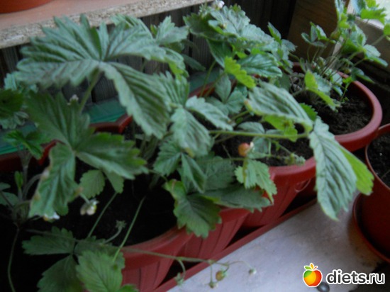 19 фото: Просто фото...