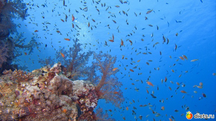 4 фото: Египет