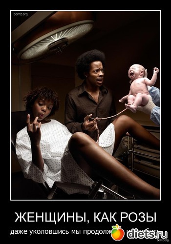 1 ����: �������