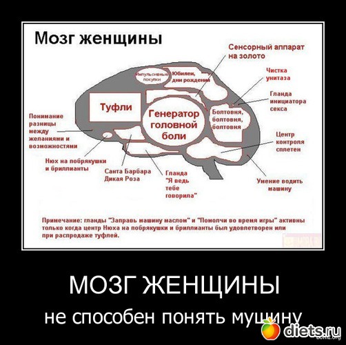 7 ����: �������