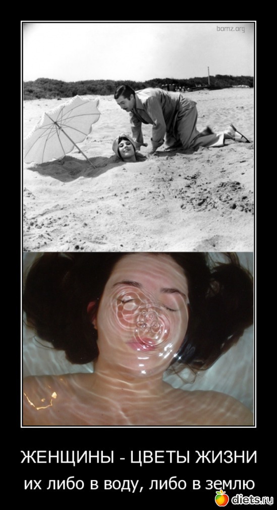 15 ����: �������