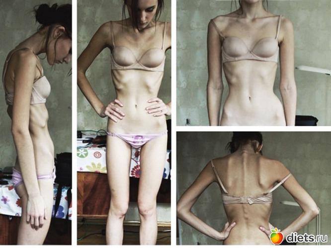 24 ����: �������