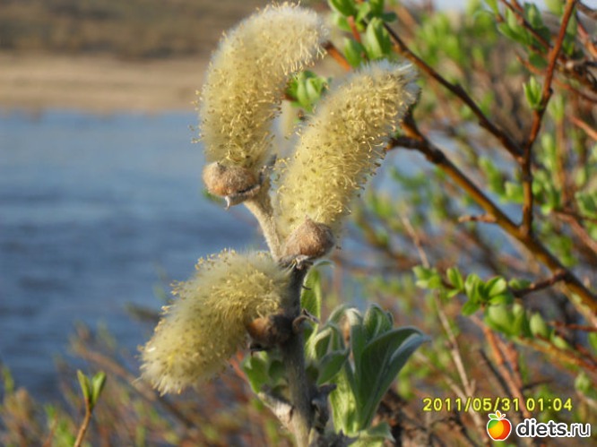 пробуждение, альбом: Любимый город-Воркута