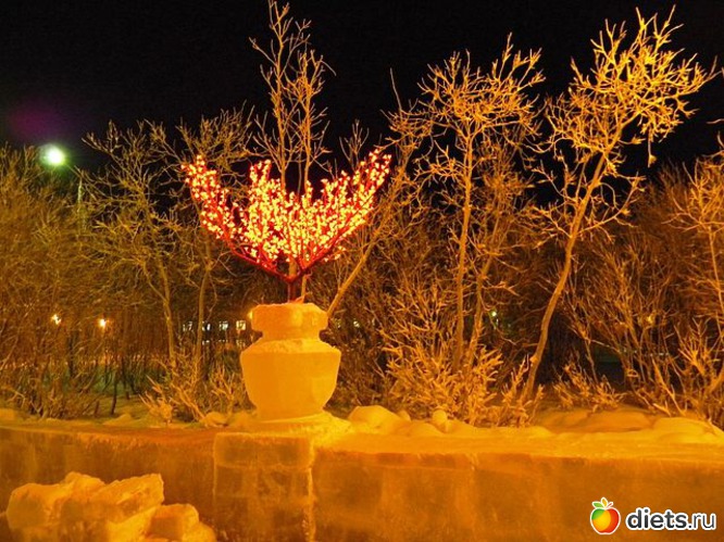 ночной сквер зимой, альбом: Любимый город-Воркута