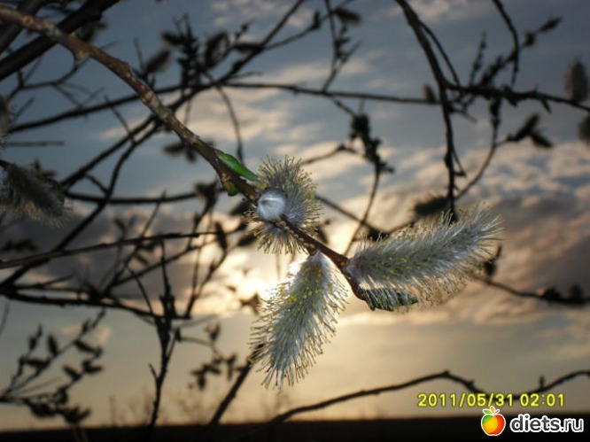 7 фото: Любимый город-Воркута