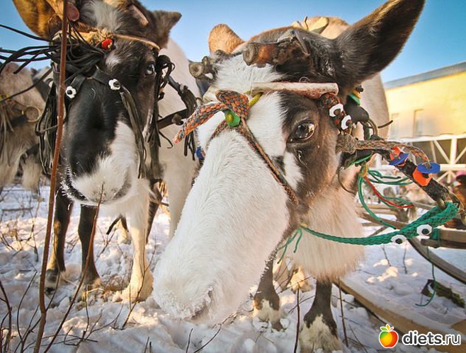 25 фото: Любимый город-Воркута