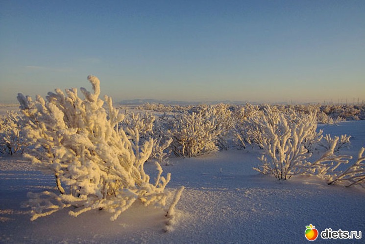 34 фото: Любимый город-Воркута