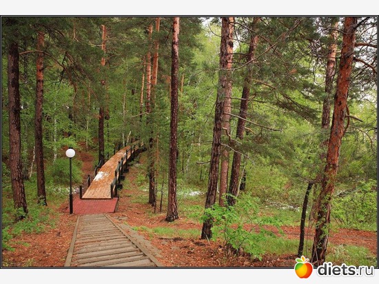 мостик 9 км, альбом: Казахстанская Швейцария или жемчужина Казахстана