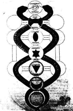 Руны и таро. Обучение