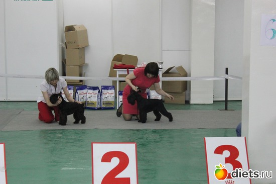 �� ��������, ������: ��� ������