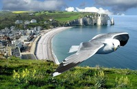 А может просто встать с другой ноги...