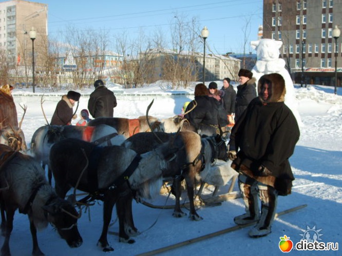 праздник оленевода, альбом: Любимый город-Воркута