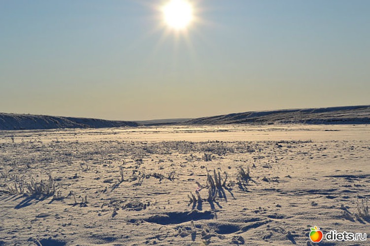 84 фото: Любимый город-Воркута