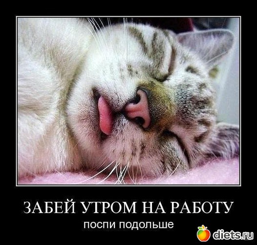 58 ����: �� ��� ����� � ����