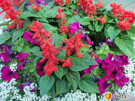 62 фото: Знакомый уютный Киев. Парки