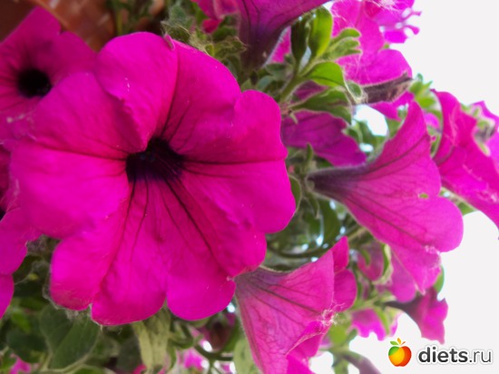 64 фото: Знакомый уютный Киев. Парки