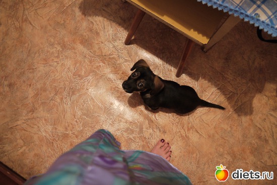 ��������� ���)) ����, ������: ������