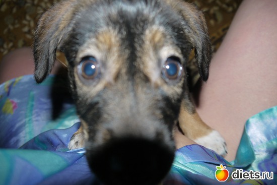 2 ����: ������