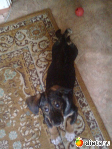 4 ����: ������