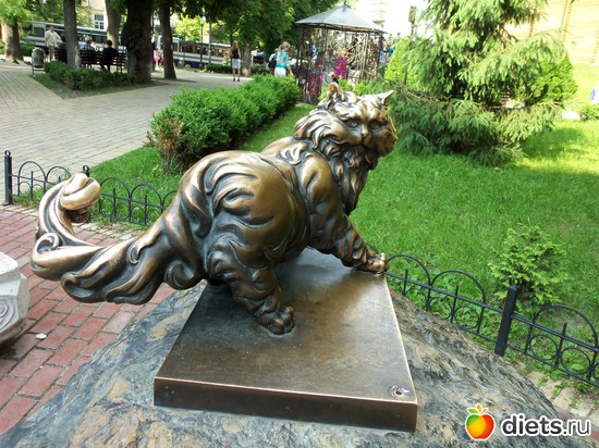 81 фото: Знакомый уютный Киев. Парки