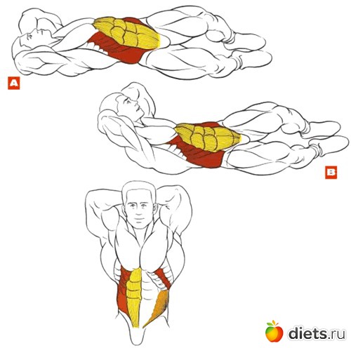 ������ �����