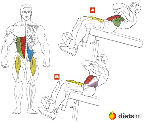 ������ �����