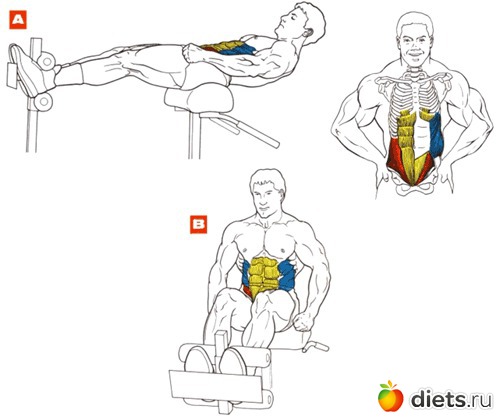 ������ �����