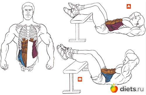 ������ �����