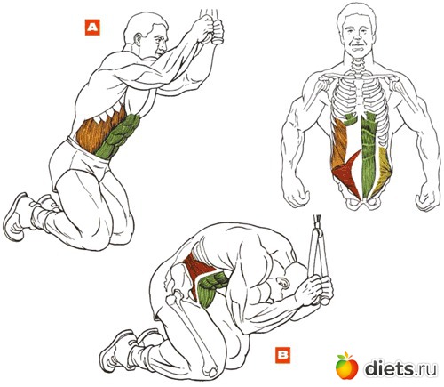 ������ �����