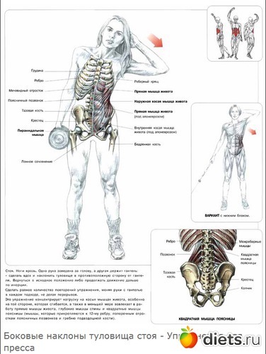 9 ����: ������ �����