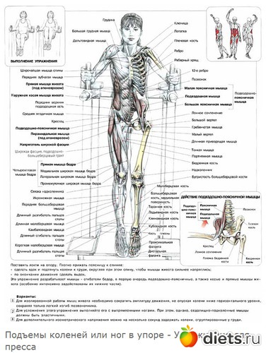 12 ����: ������ �����