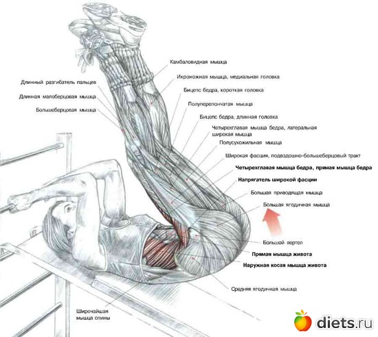 13 ����: ������ �����