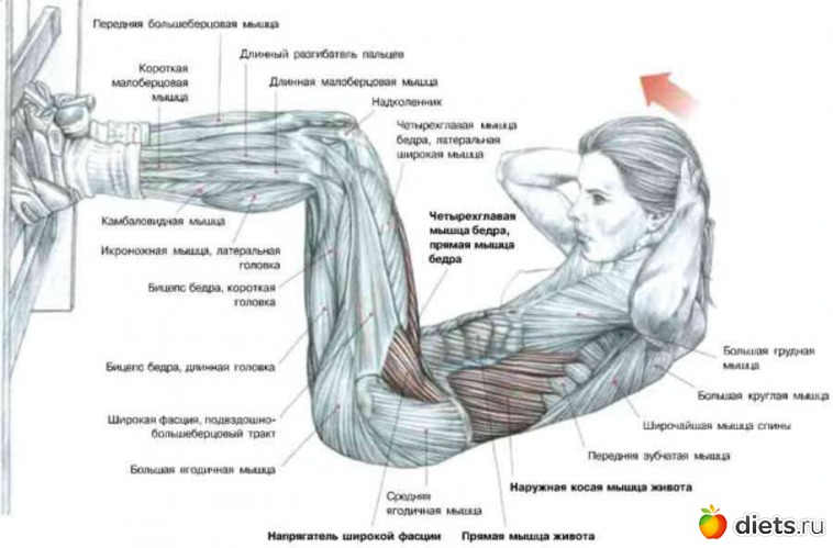 14 ����: ������ �����