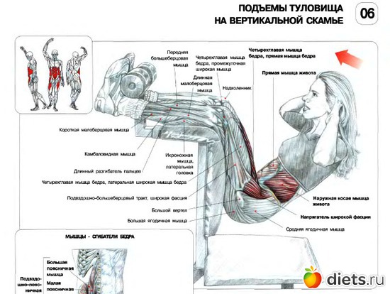 15 ����: ������ �����