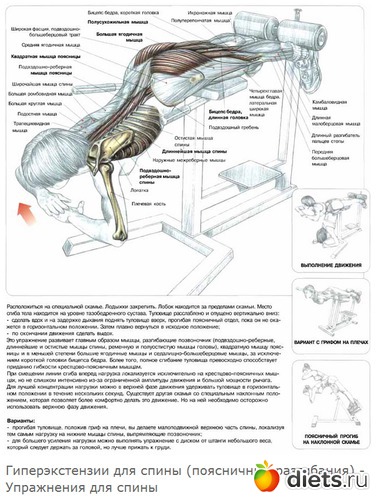 16 ����: ������ �����
