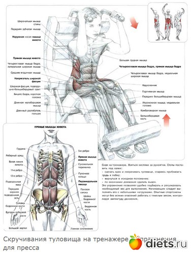 18 ����: ������ �����