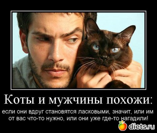 �� ��� ����� � ����