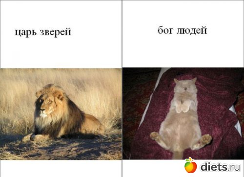 �� ��� ����� � ����