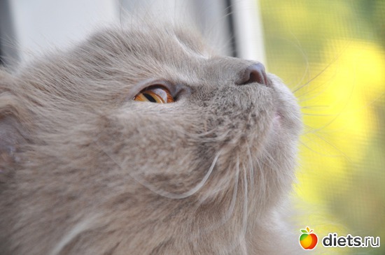 1 фото: Мой Лучик счастья))