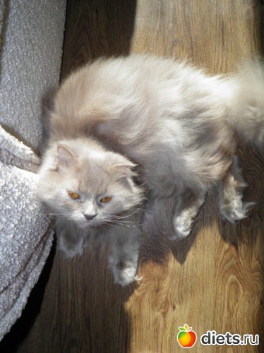 4 фото: Мой Лучик счастья))