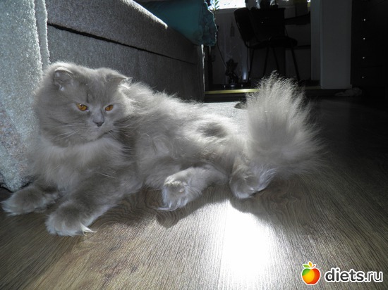 8 фото: Мой Лучик счастья))