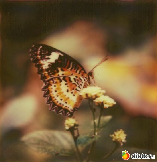 122 ����: ����� 1