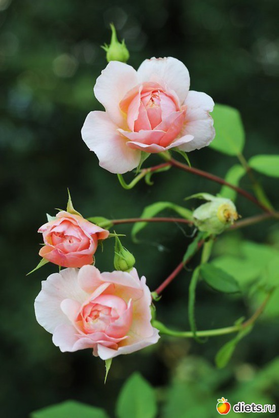 125 ����: ����� 1