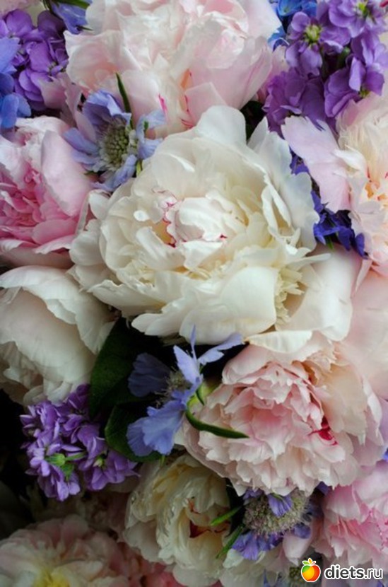 126 ����: ����� 1