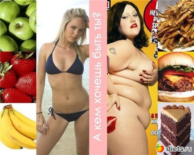 8 ����: �����������