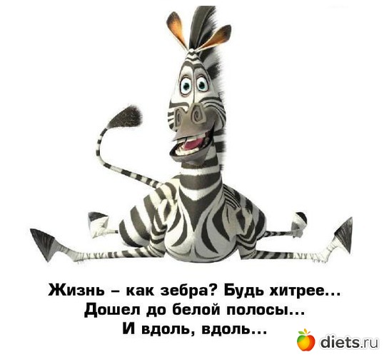 229 ����: ���������