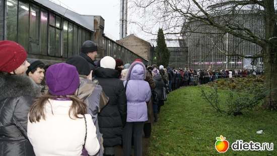 Очередь, альбом: Прогулка по Санкт-Петербургу