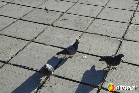 13 ����: ������� �����