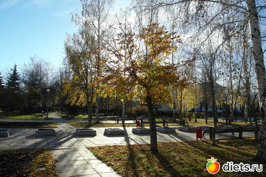 14 фото: осенние этюды