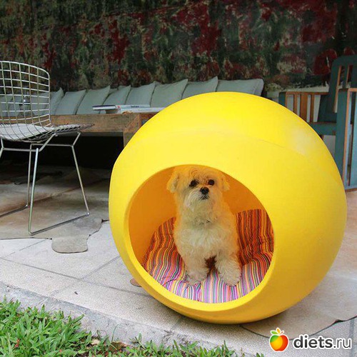 280 фото: Креатив